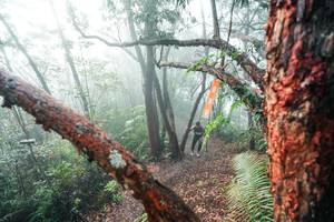 BIB: 
                            <button type="button" onclick="openModal(26343742)" class="btn btn-primary btn-sm float-right btn-popup" data-toggle="modal" data-target=".modal-high-quality">
                        <i class="fas fa-shopping-cart"></i> Add to Cart
                    </button>
                                            <button type="button" onclick="isThisMe(26343742, true)" class="btn btn-success btn-sm float-right btn-popup btn-isme hidden" data-toggle="tooltip" data-placement="bottom" title="นี่คือรูปของคุณใช่ไหม คลิกที่นี่เพื่อเอาเข้าอัลบั้ม">
                        <i class="fas fa-plus"></i> Add to album
                    </button>
                    <button type="button" onclick="isThisMe(26343742, false)" class="btn btn-warning btn-sm float-right btn-popup btn-isnotme hidden">
                        <i class="fas fa-ban"></i> Remove from album
                    </button>